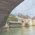 bachelor responsable immobilier à strasbourg