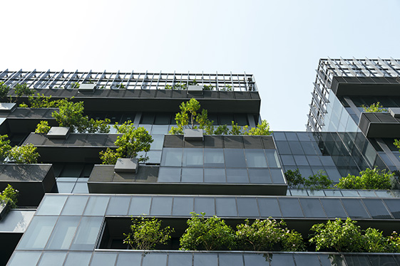 Immeubles verts et durables